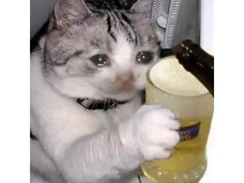 黑龙江,资源驱动,冰雪运动品,金年会登录入口,金年会平台,金年会注册网址,金年会app,金年会官网,金年会网站,金年会网页版