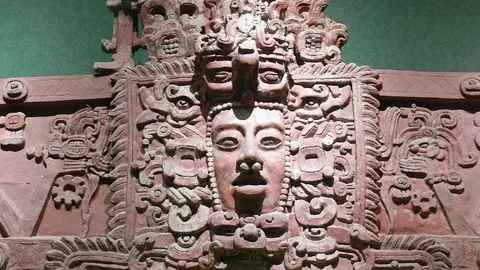 塔图姆与夏普合力摘下三双，凯尔特人击败开拓者延续5连胜佳绩