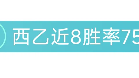 “欧冠决赛预热：泰尔齐奇教练解析多特蒙德备战策略”