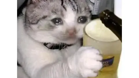 黑龙江：资源驱动，冰雪运动品质飞跃（2025-02-13）